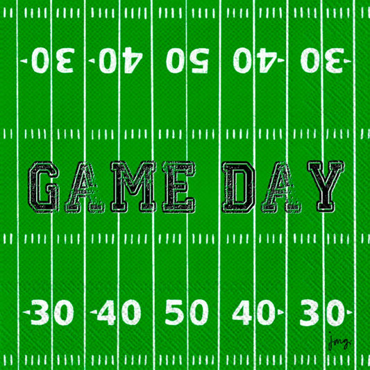 Paper Cocktail Napkins Pack of 20 Game Day Field Football